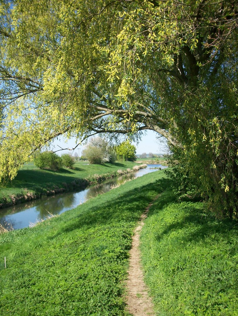 An der Nidda in Karben