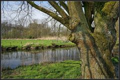 An der Niers