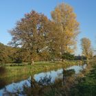 An der Niers im Herbst