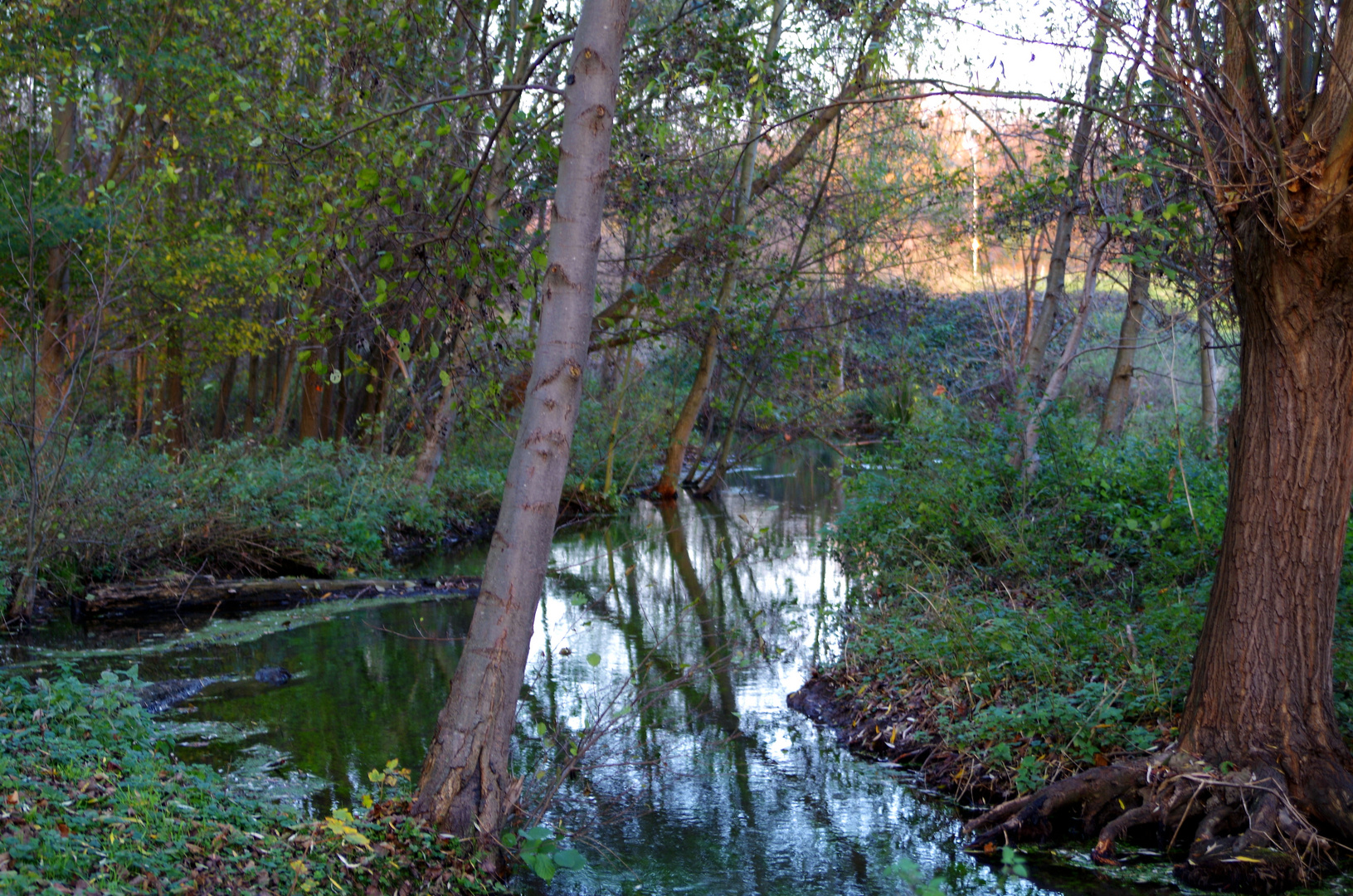 An der Niers in MG-Wickrathberg