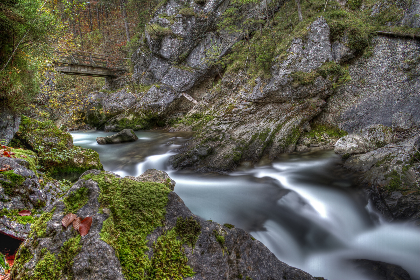 An der noch jungen Steyr