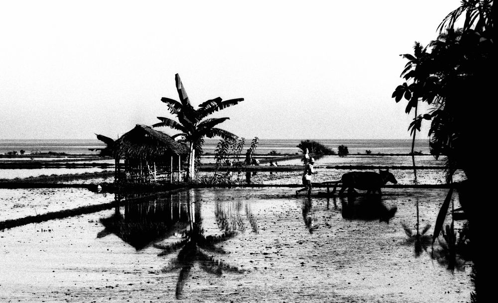 An der Nordküste, Bali