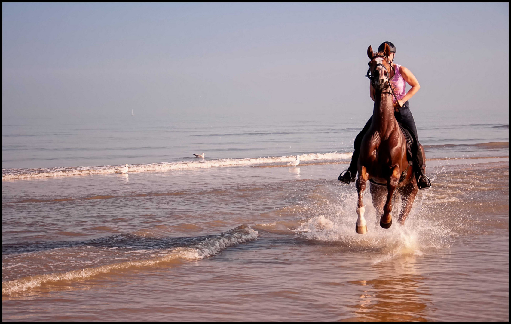 An der Nordsee