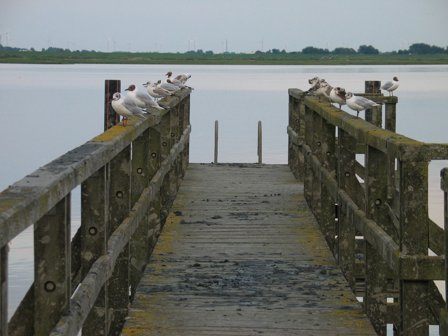 An der Nordsee 2