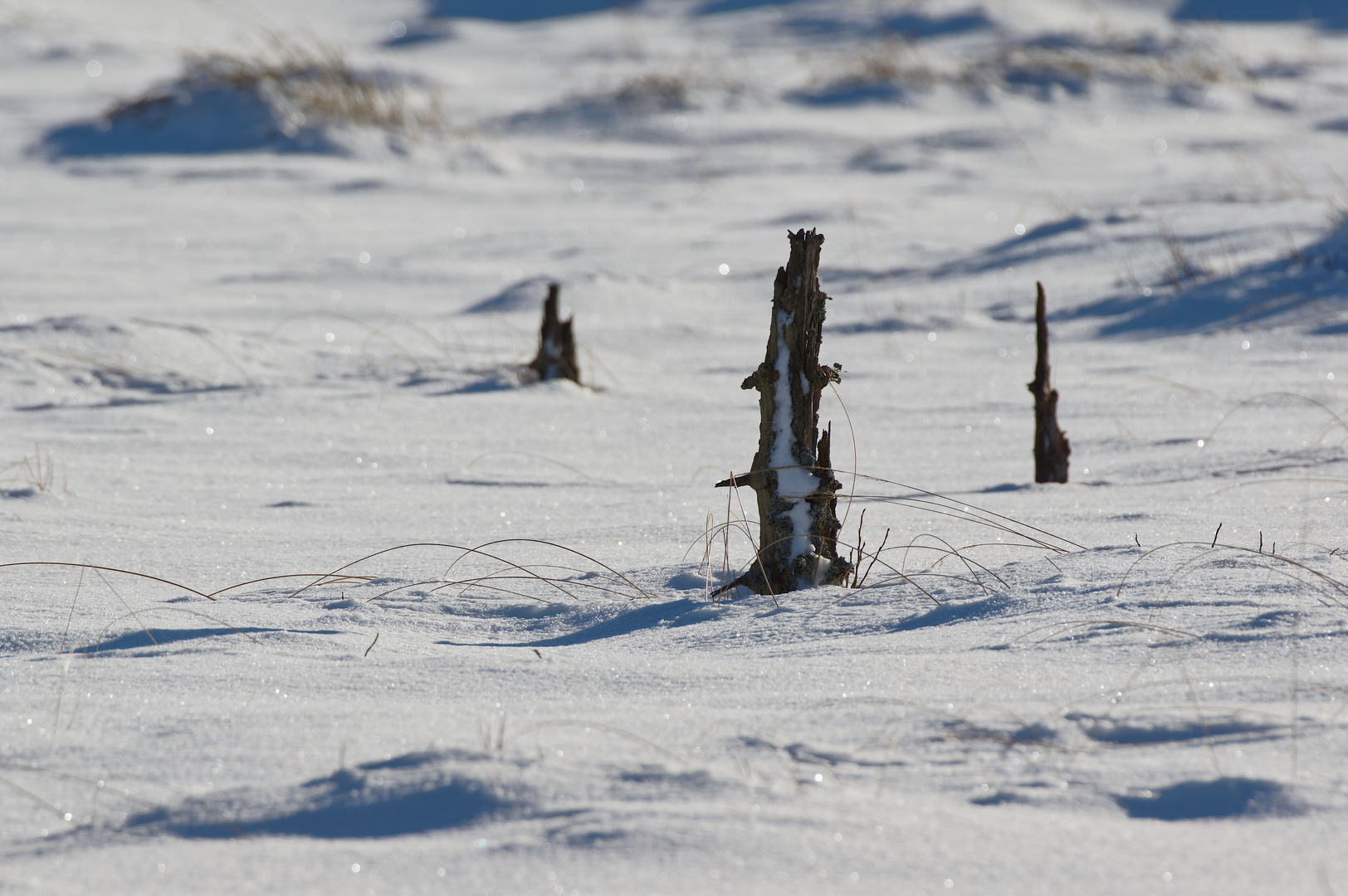 An der Nordsee?