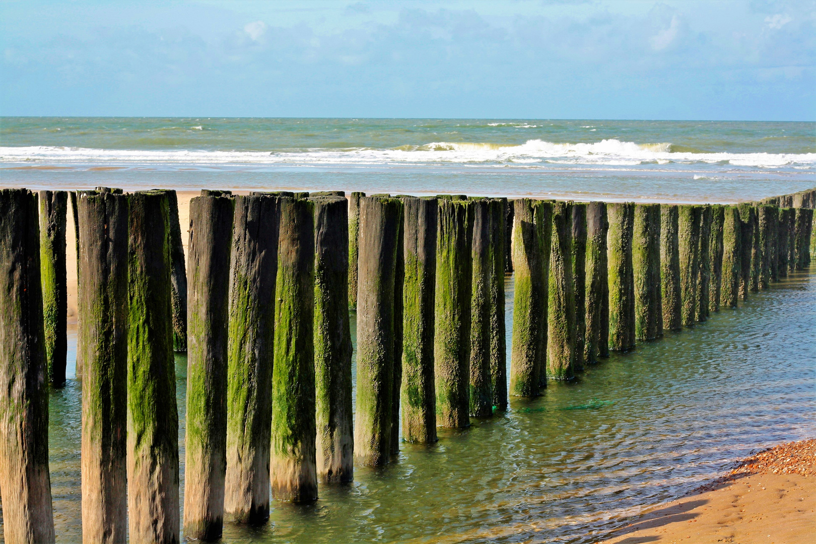 an der Nordsee