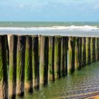 an der Nordsee