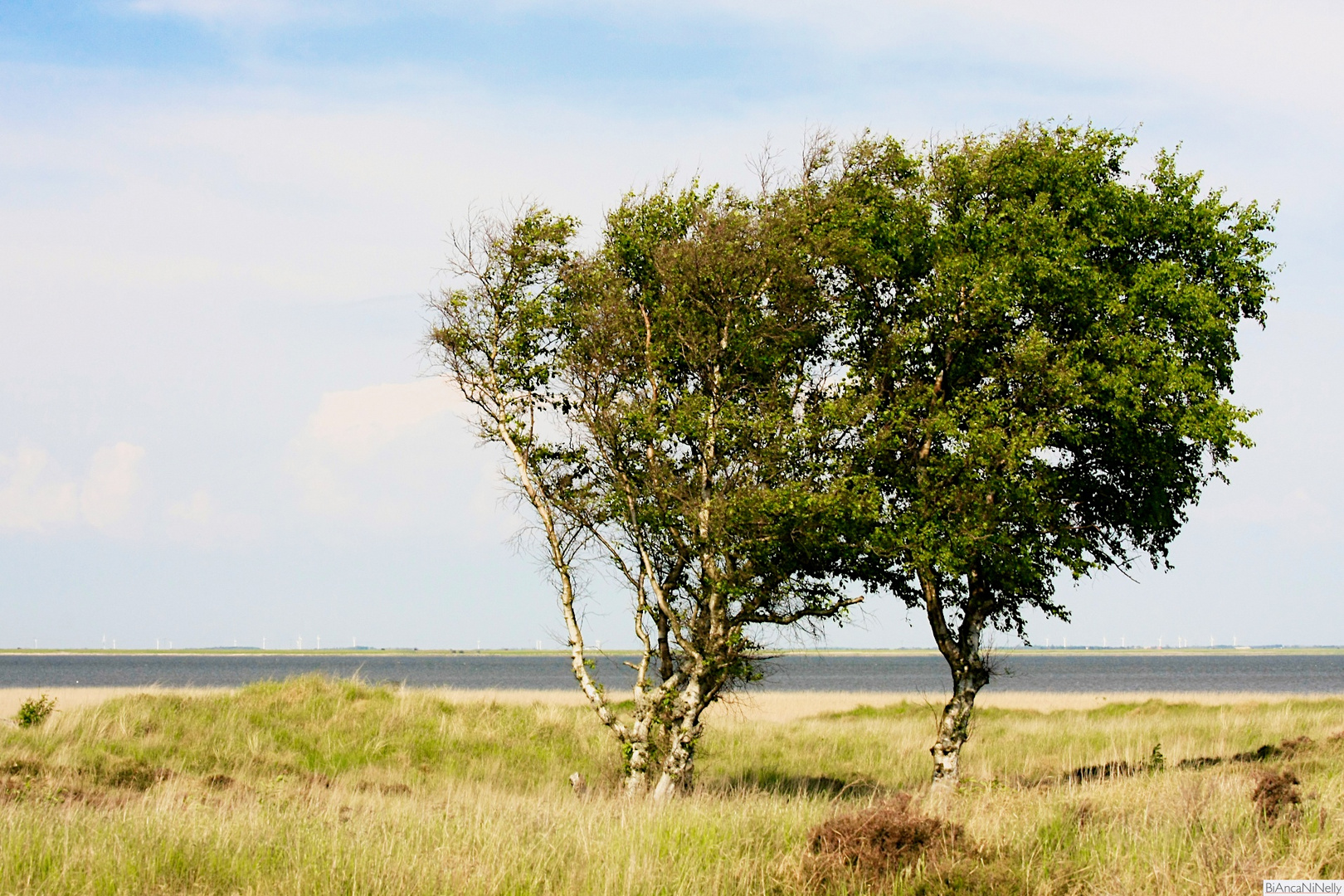 An der Nordsee