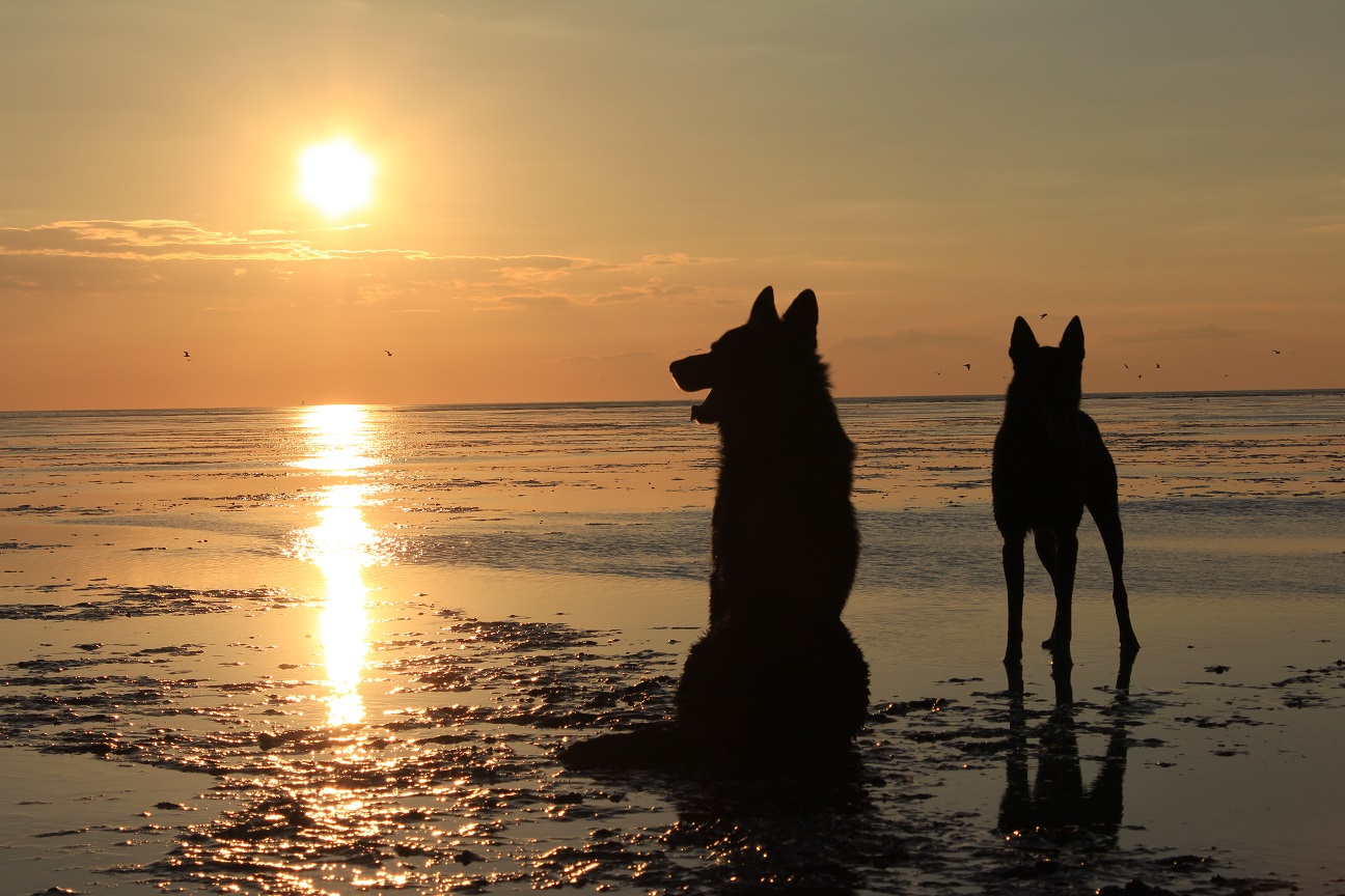 An der nordsee