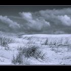 AN der Nordsee bei Langeoog