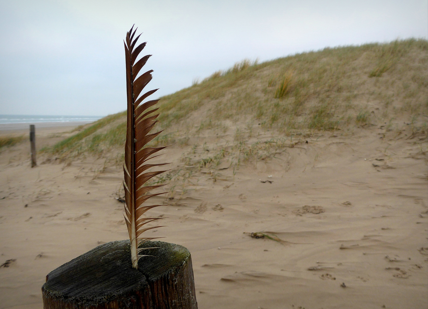 An der Nordsee...