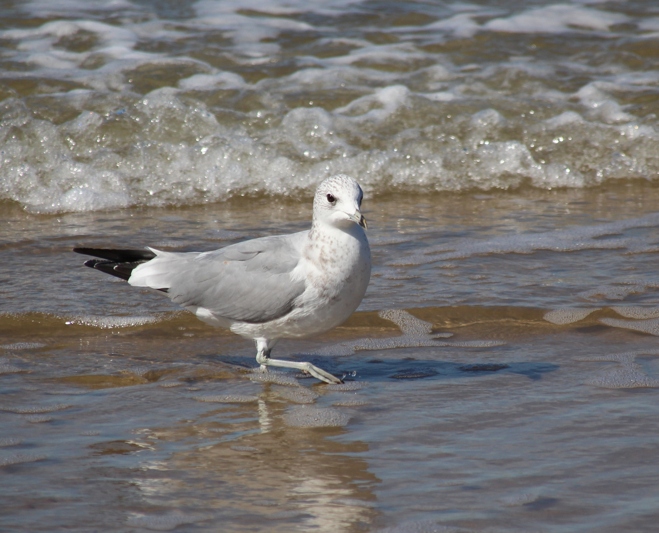 An der Nordsee