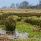 An der Nordsee - Küste ...