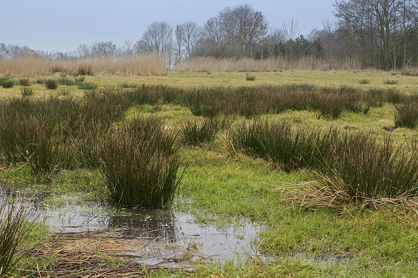 An der Nordsee - Küste ...