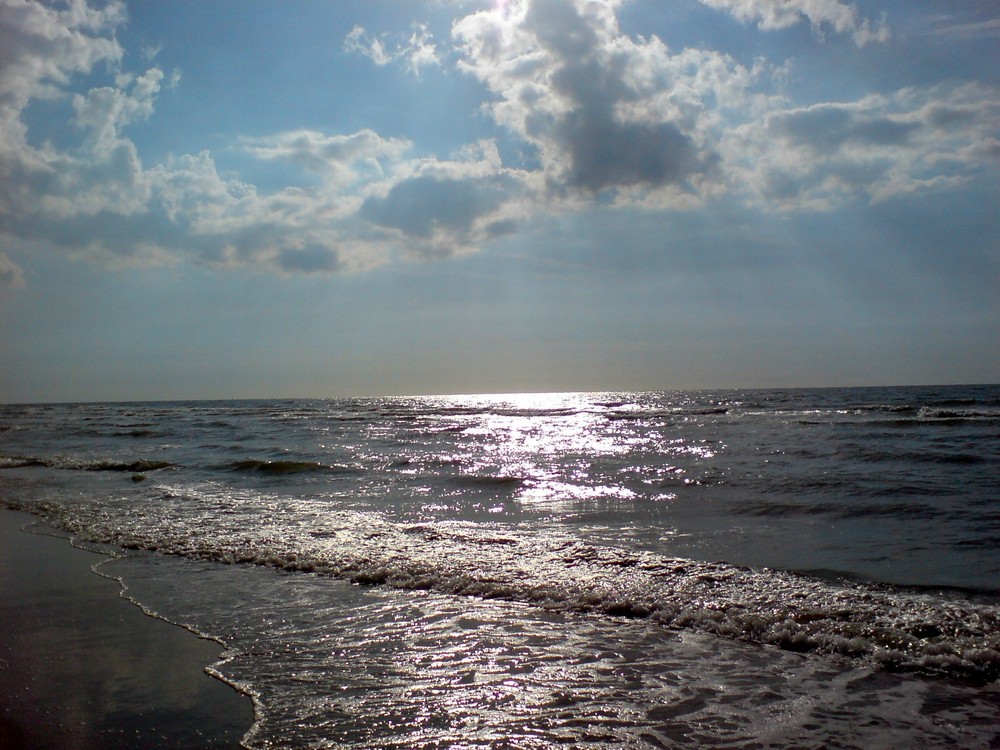 An der Nordsee Küste !