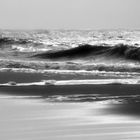 an der Nordsee-Küste ... - at North Sea shore