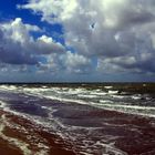 An der Nordsee Renesse -- Zeeland (01 )