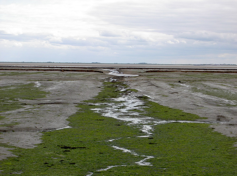 An der Nordseeküste