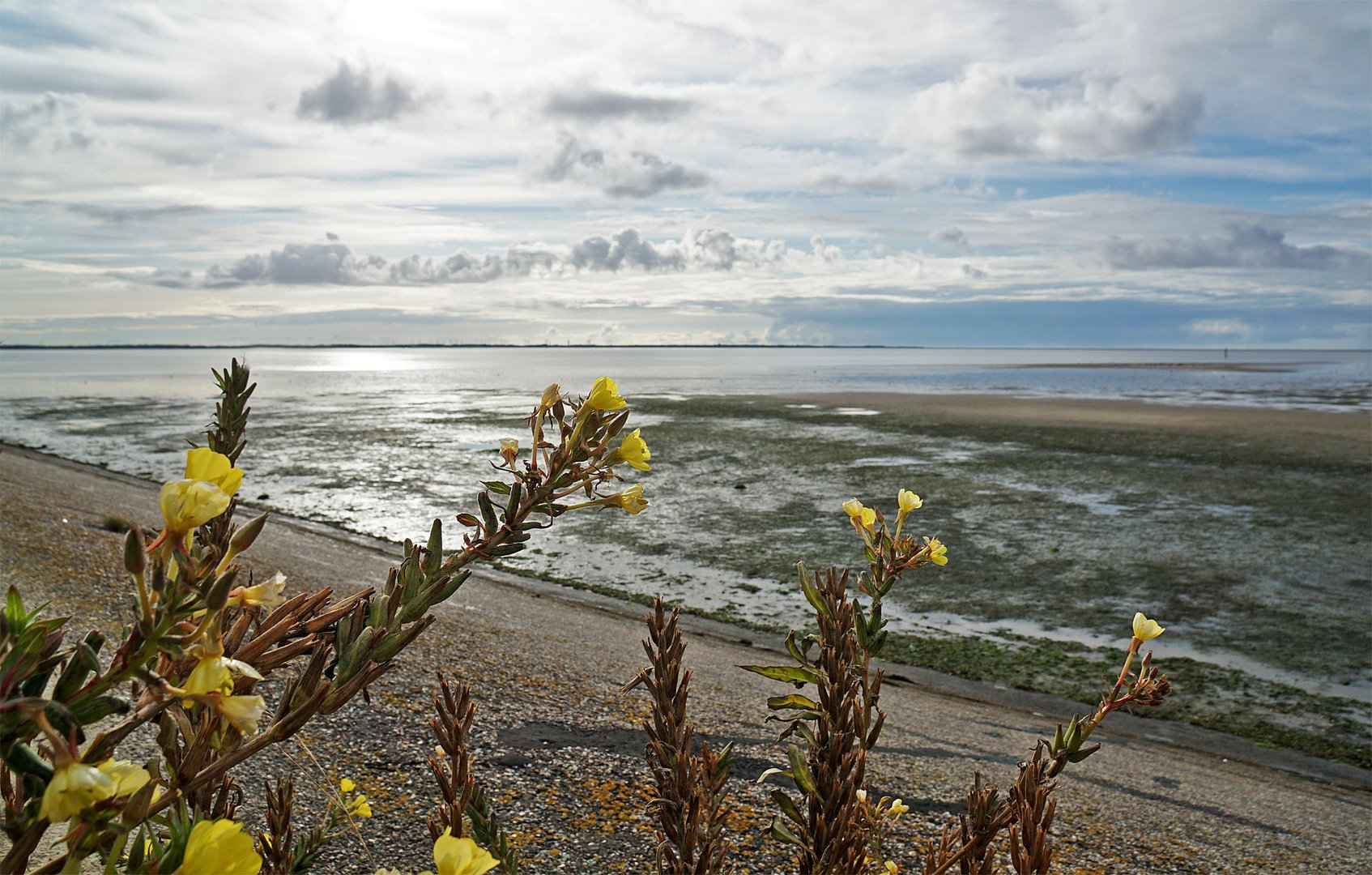 An der Nordseeküste