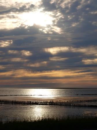 An der Nordseeküste, am plattdeutschen Strand Sind die Fische im Wasser und selten an Land