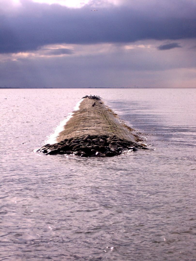 an der Nordseeküste...