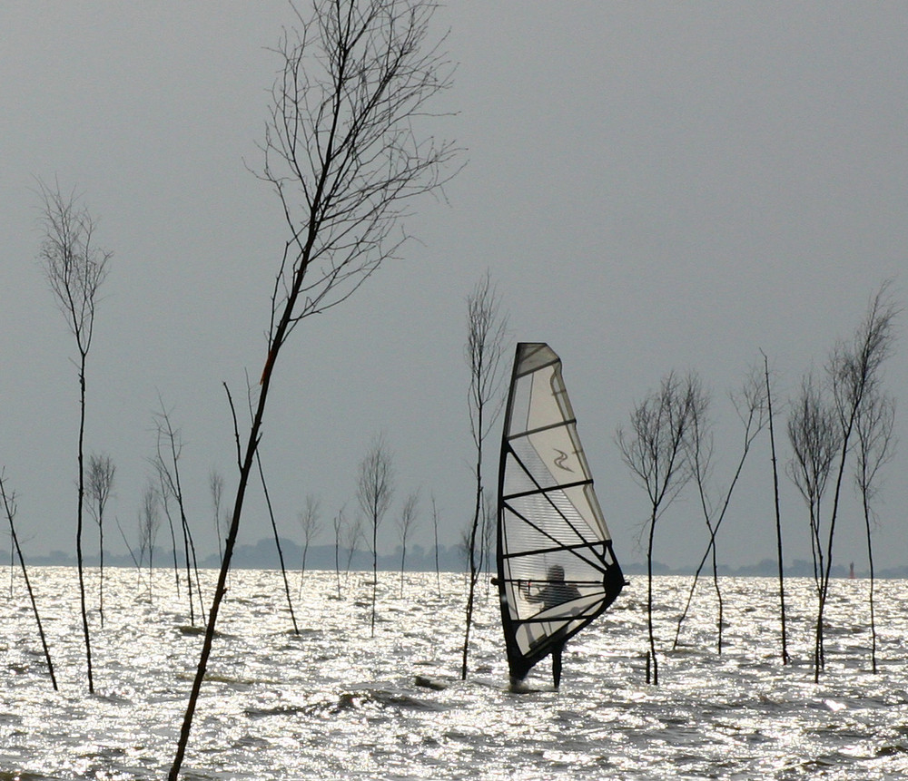 ...an der Nordseeküste