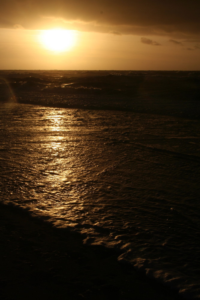 An der Nordseeküste im November