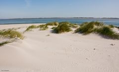 An der Nordspitze von Amrum mit Blick nach Föhr