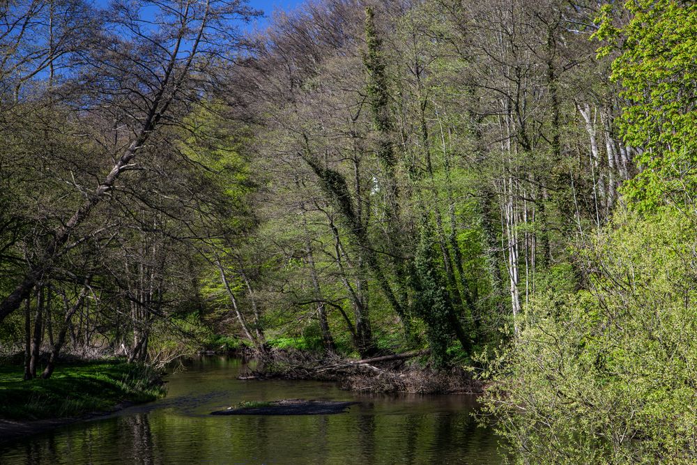 An der Oberalster