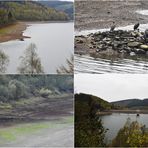 an der Obernautalsperre mit Kormoran Insel