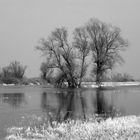 An der Oder (1)