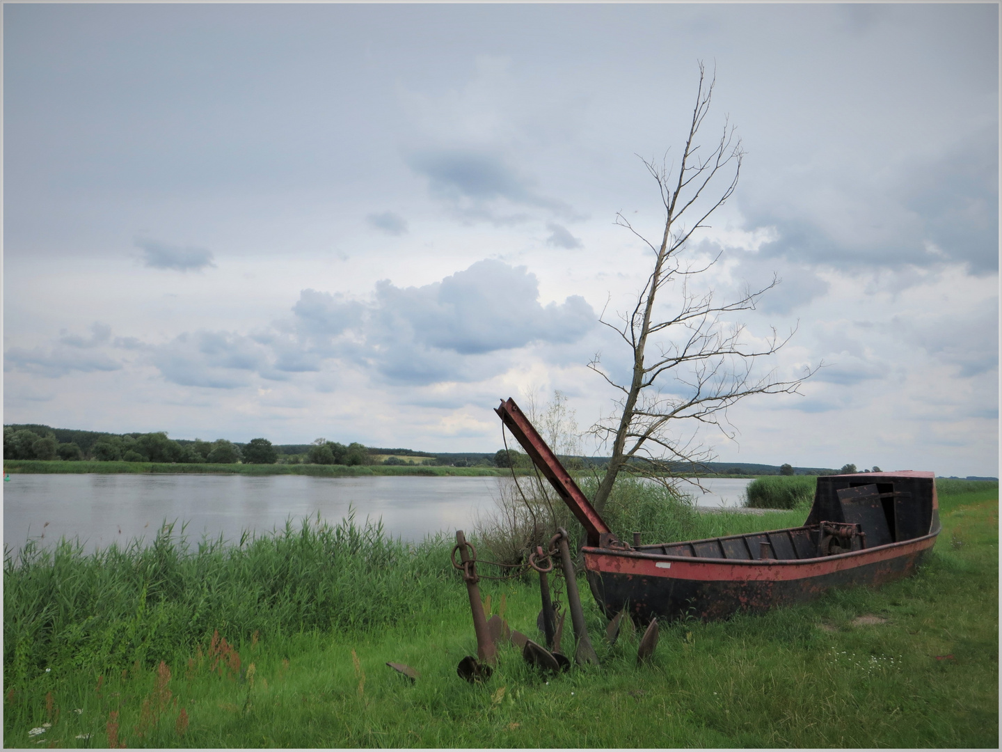 An der Oder Foto & Bild fotos, brandenburg, natur Bilder auf An der Oder Foto & Bild fotos, brandenburg, natur Bilder auf