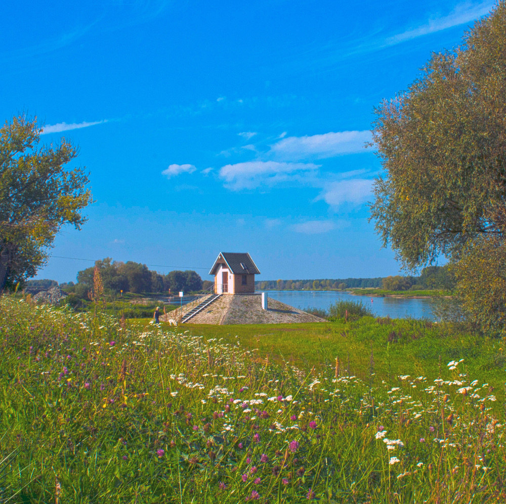 An der Oder ...am Pegelhäuschen in Ratzdorf