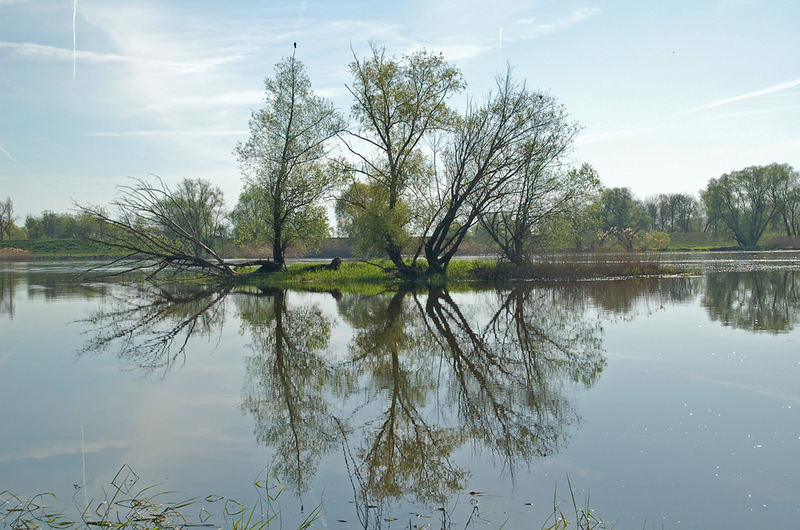 An der Oder bei Lebus