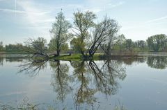 An der Oder bei Lebus