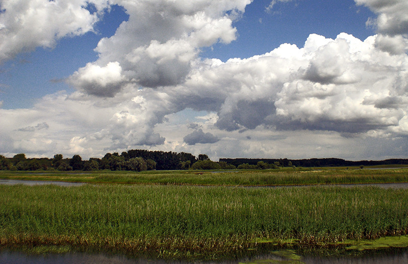 An der Oder beim Raddeln