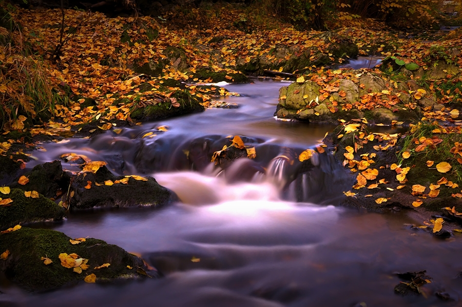 An der Oder in Bad Lauterberg