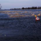 An der Oder: Land unter