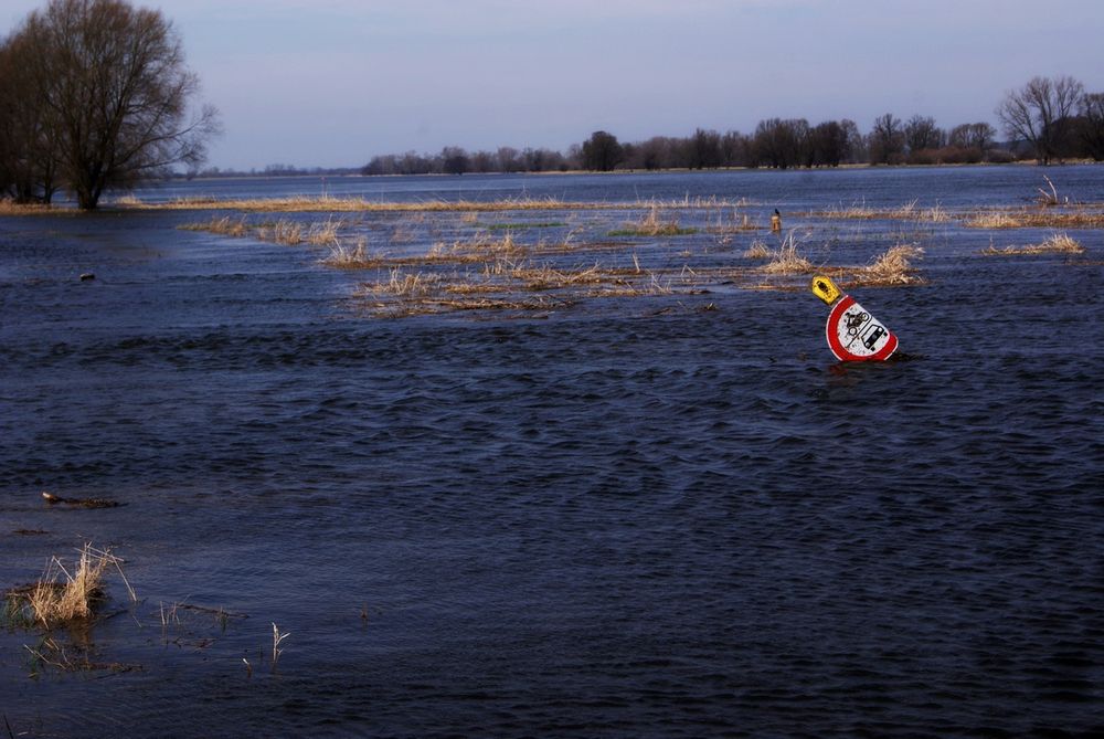 An der Oder: Land unter