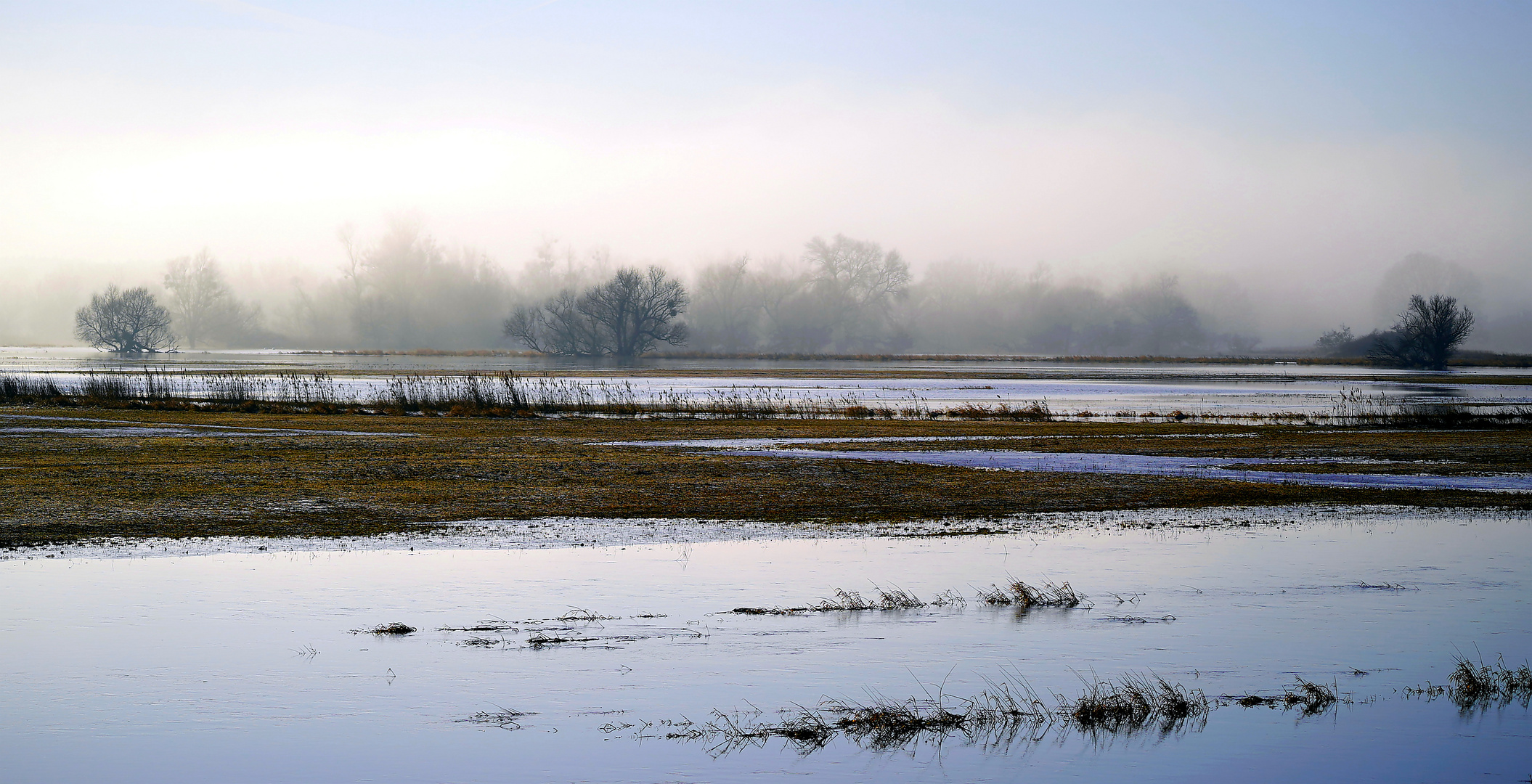 An der Oder - Polder 3-3