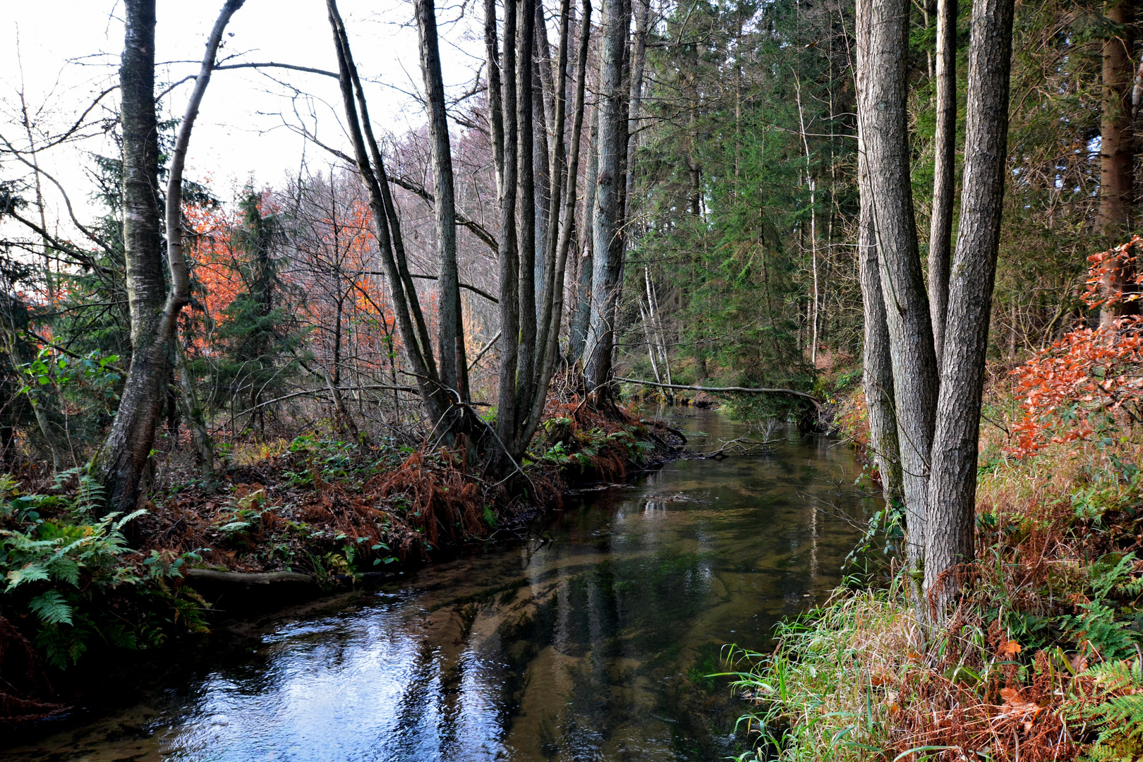 An der Örtze