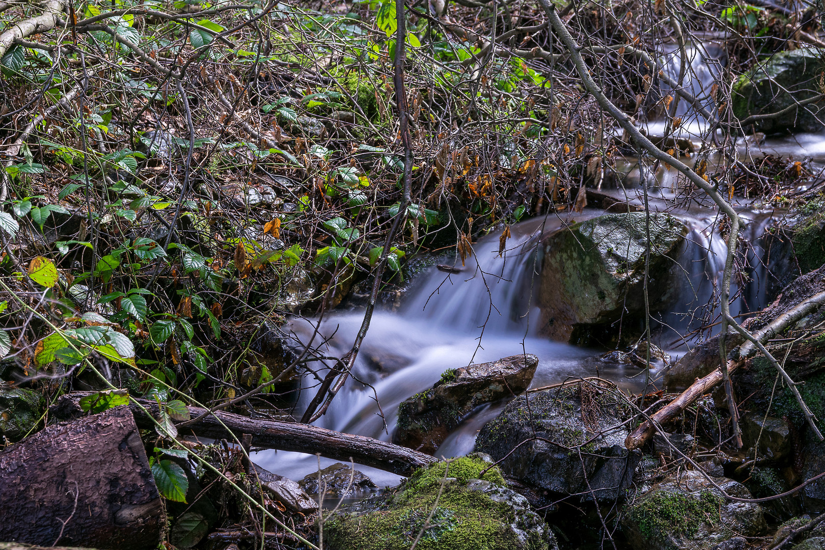 AN der Oester