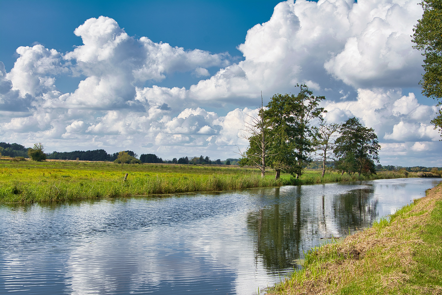 An der Ohre im Drömling 2