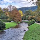 an der Oos im Oktober 2024