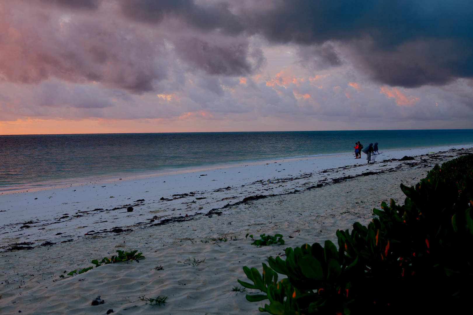 an der Ostküste von Zanzibar