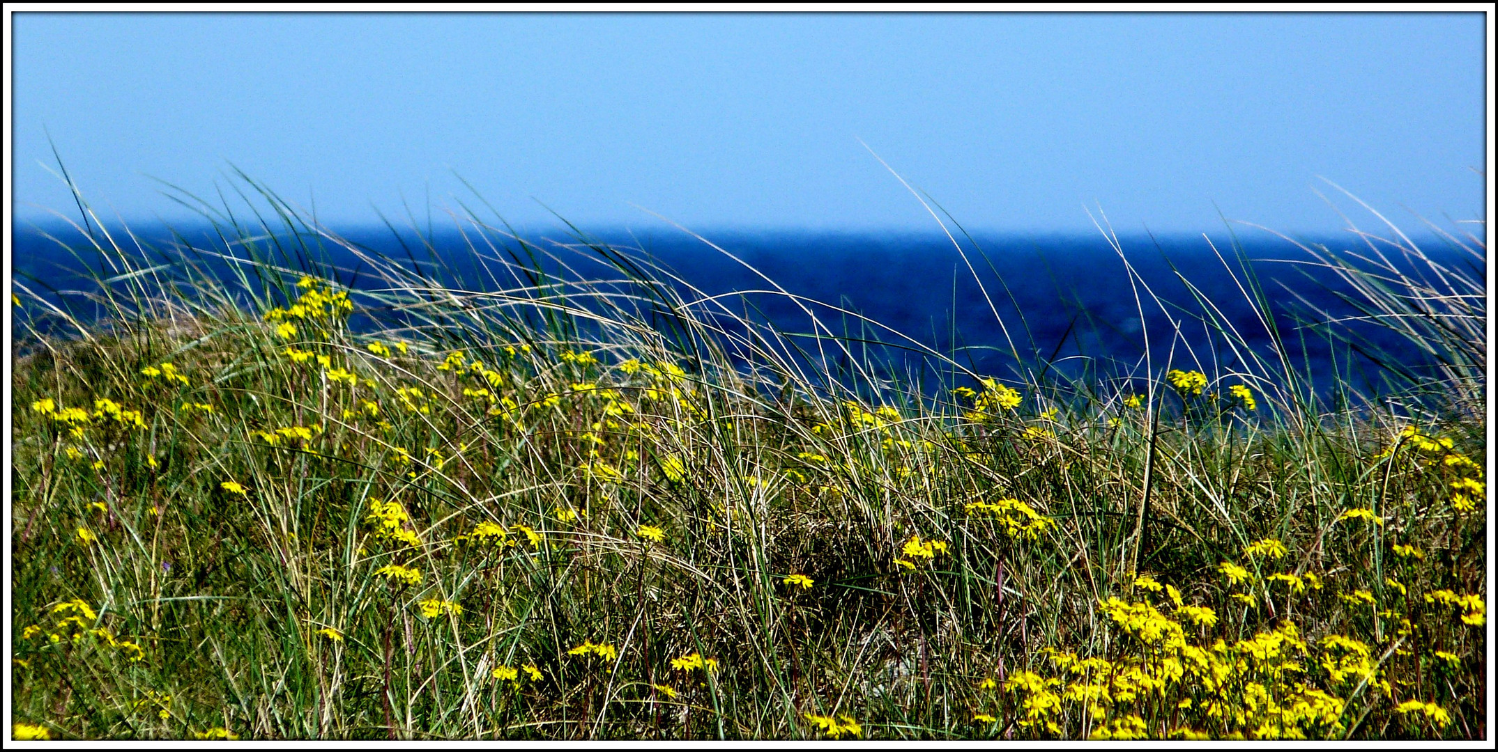 an der Ostsee