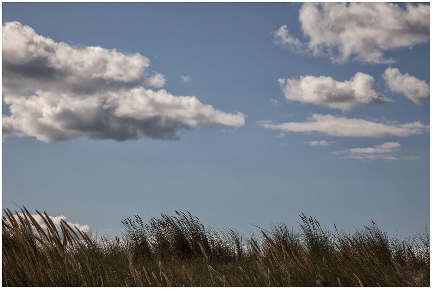 An der Ostsee