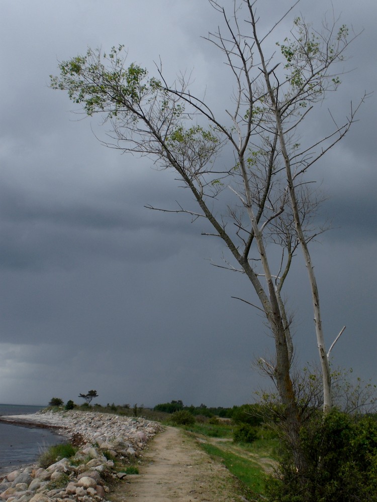 An der Ostsee 1