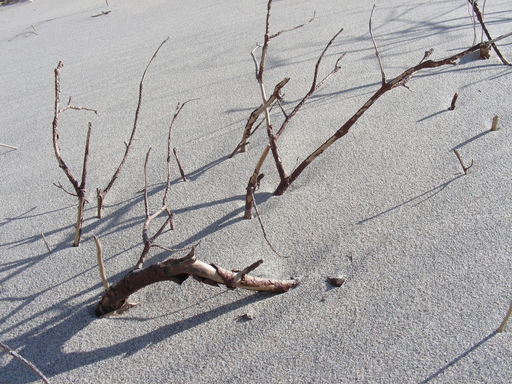 an der ostsee