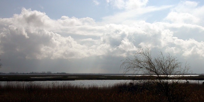 an der Ostsee